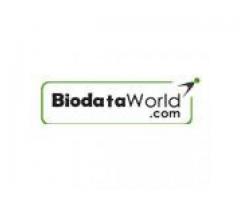 Require resumes for employee hiring - biodataworld